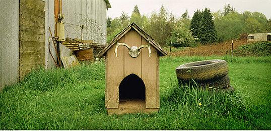 3DM速报：动视暴雪花1800万刀破财免灾 战地2042或于10月6日开测